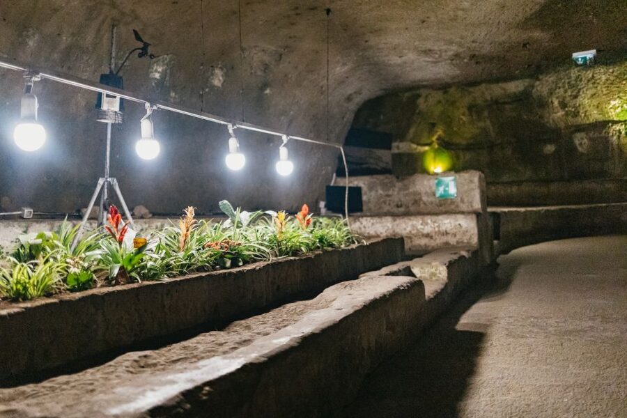 Naples: Naples Underground Entry Ticket and Guided Tour - How the guide shapes the experience