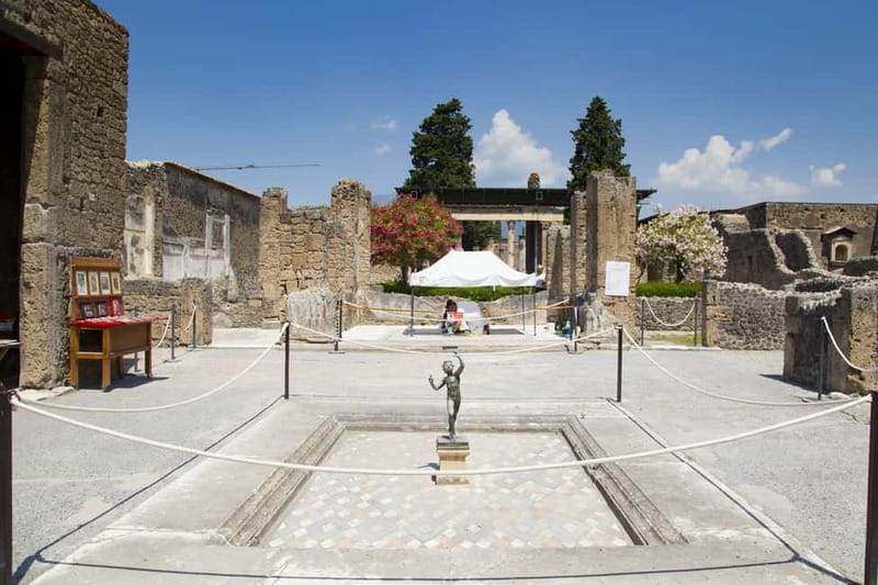 Naples or Sorrento: Full-Day Pompeii and Mount Vesuvius Tour - The early ride to Pompeii
