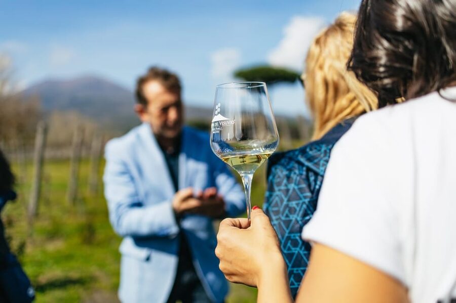 Naples: Pompeii and Mt. Vesuvius with Lunch and Wine Tasting - Starting in Naples: Pickup Matters