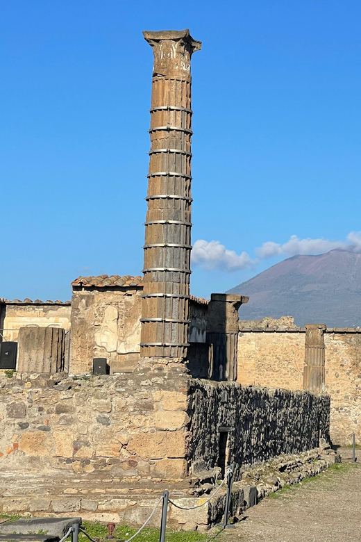 Naples: Pompeii Archaeology Park Tour & Skip-the-Line Entry - Who Should Choose This Pompeii Tour?