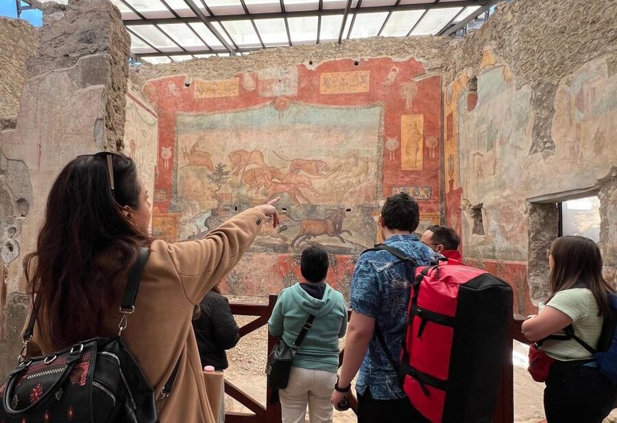 Naples: Pompeii & Mt. Vesuvius Day Trip with Tickets & Lunch - Lunch near Vesuvius: more than a quick sandwich stop