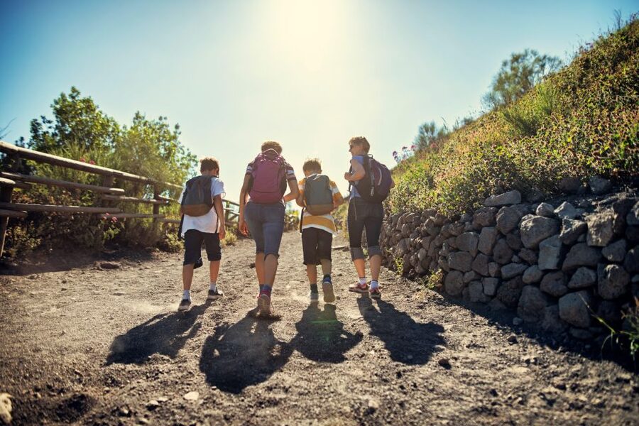 Naples: Pompeii & Mt. Vesuvius Day Trip with Tickets & Lunch - The guides and drivers make the difference
