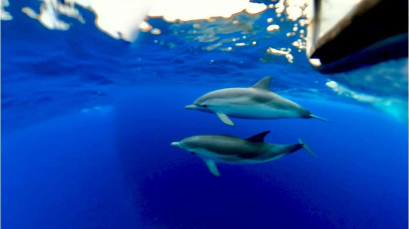 Naxos: Taormina Boat Tour with Snorkeling and Prosecco - Grotta dell’Amore, the first cave stop
