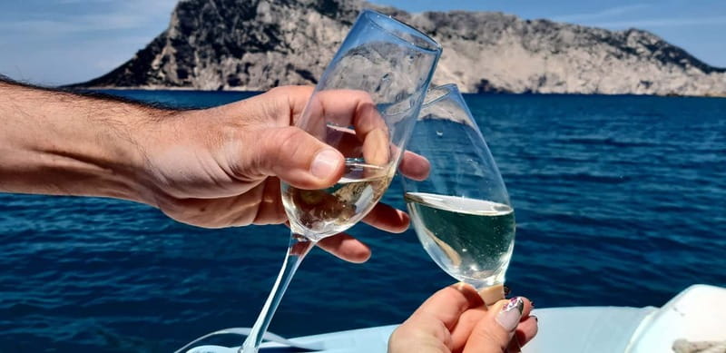 Olbia: Boat tour to watch Dolphins and snorkeling - Setting out from Olbia on a 7-meter Pholas