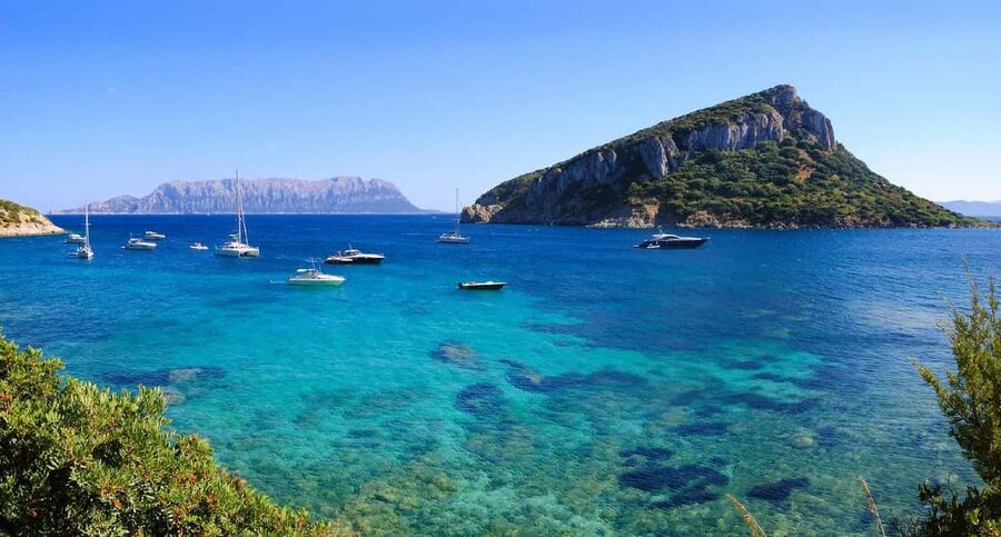 Olbia: Dolphin Watching and Snorkeling Boat Tour - How the $77 price compares