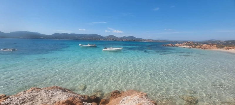Olbia: Dolphin Watching & Swim and snorkel in Capo Figari - Key points to know before booking