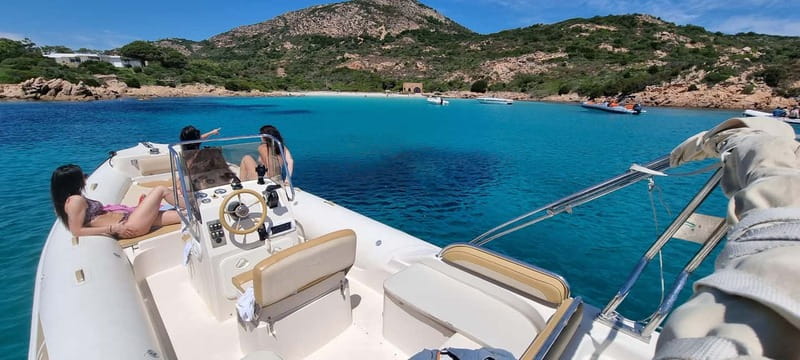 Olbia: Dolphin Watching & Swim and snorkel in Capo Figari - Setting out from MOYS Marina in Olbia