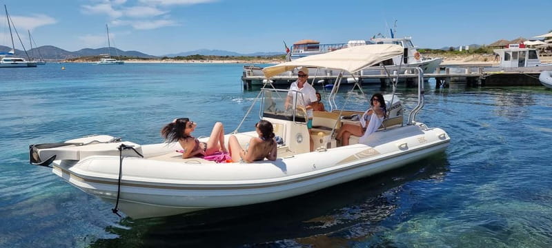 Olbia: Dolphin Watching & Swim and snorkel in Capo Figari - The dolphin-watching stop near the fish farm