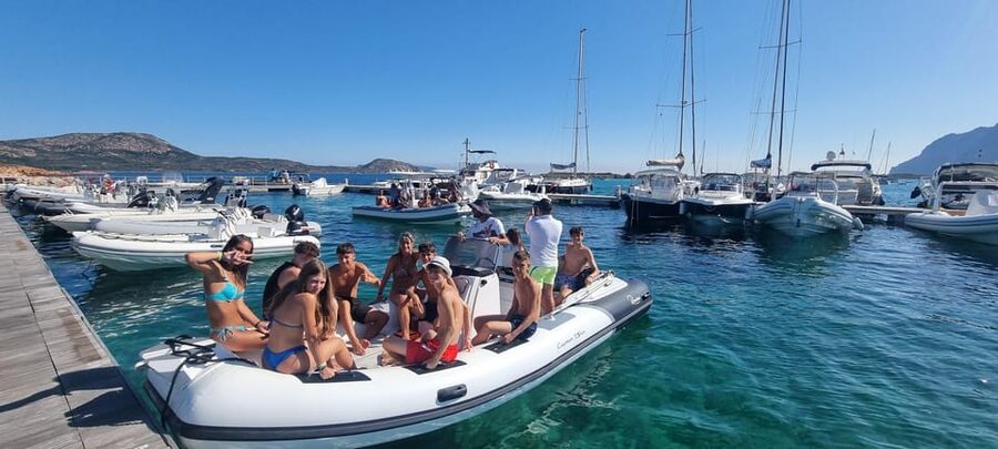 Olbia: Dolphin Watching & Swim and snorkel in Capo Figari - Who should book this Olbia boat tour