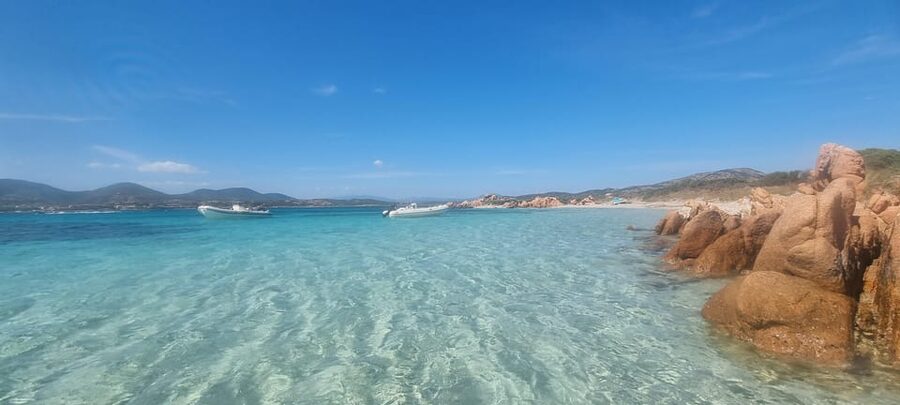Olbia: Dolphin Watching & Swim and snorkel in Capo Figari - Practical tips for a smoother outing