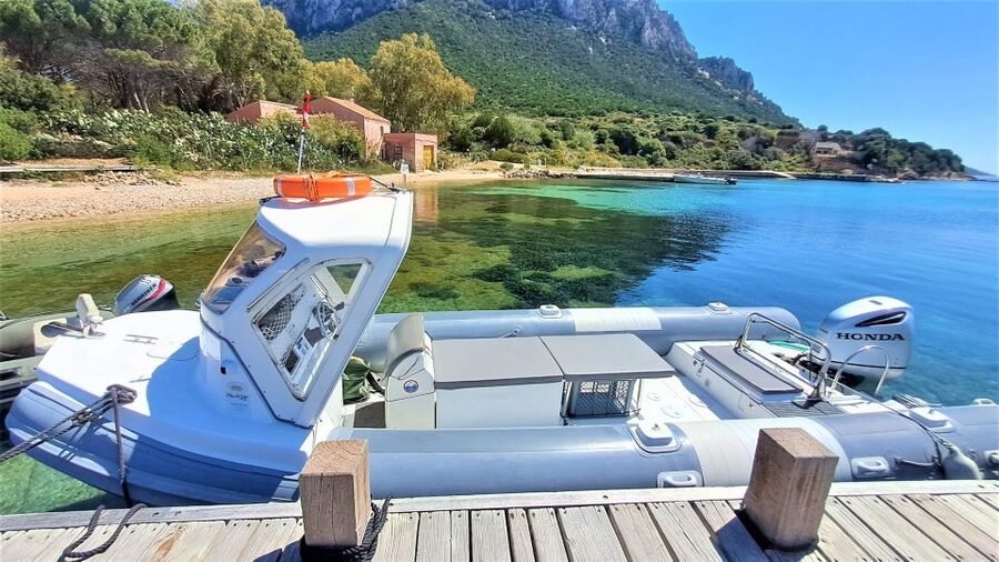Olbia: Dolphin Watching Tour with Figarolo Island Snorkeling - What is included for $74.20
