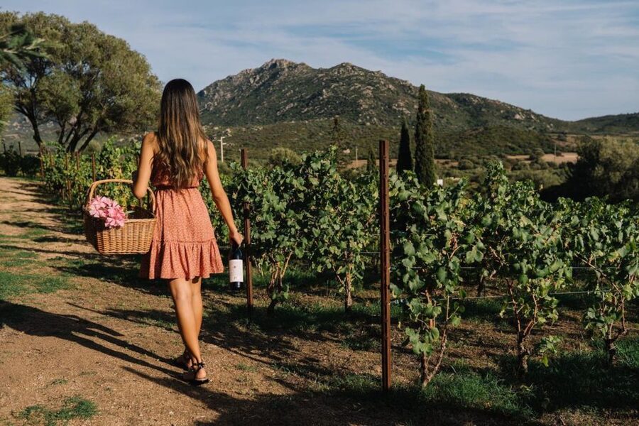 Olbia: Gallura Winery Guided Tour with Tasting - Practical Tips for a Smooth Visit