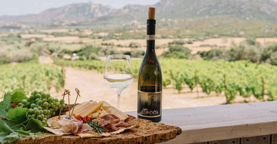 Olbia: Gallura Winery Guided Tour with Tasting - A Small Gallura Winery Near Olbia