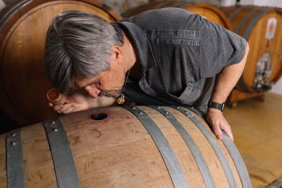 Olbia: Gallura Winery Guided Tour with Tasting - Is $61 a Fair Price?