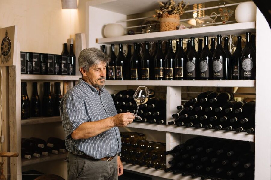 Olbia: Gallura Winery Guided Tour with Tasting - Who Will Enjoy This Most?