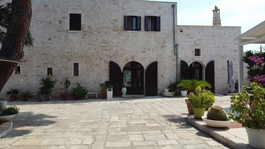 Ostuni: Olive Oil Tasting Tour - Tasting three organic oils with Puglian snacks