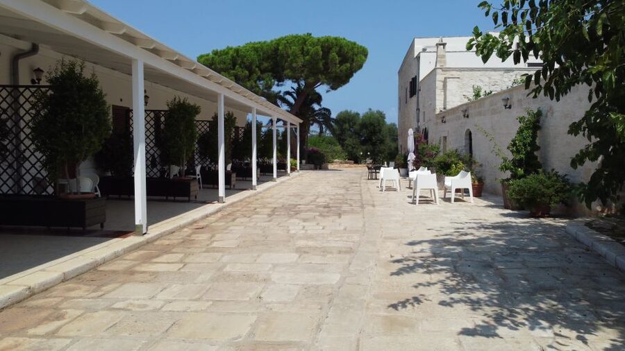 Ostuni: Olive Oil Tasting Tour - Who will enjoy this olive oil tour?