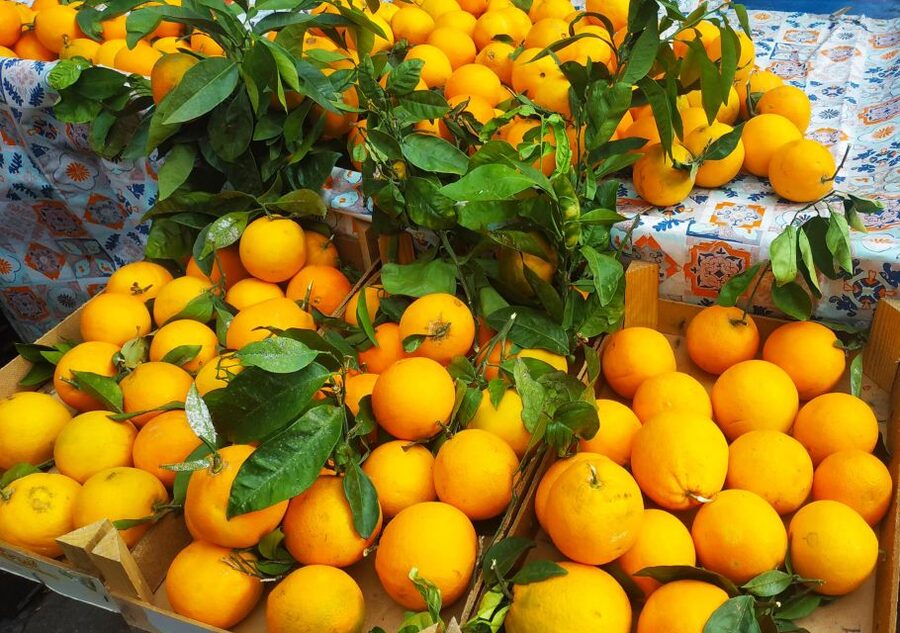 Palermo: Street Food Walking Tour with Local Guide & Tasting - Teatro Massimo and the first taste of Palermo