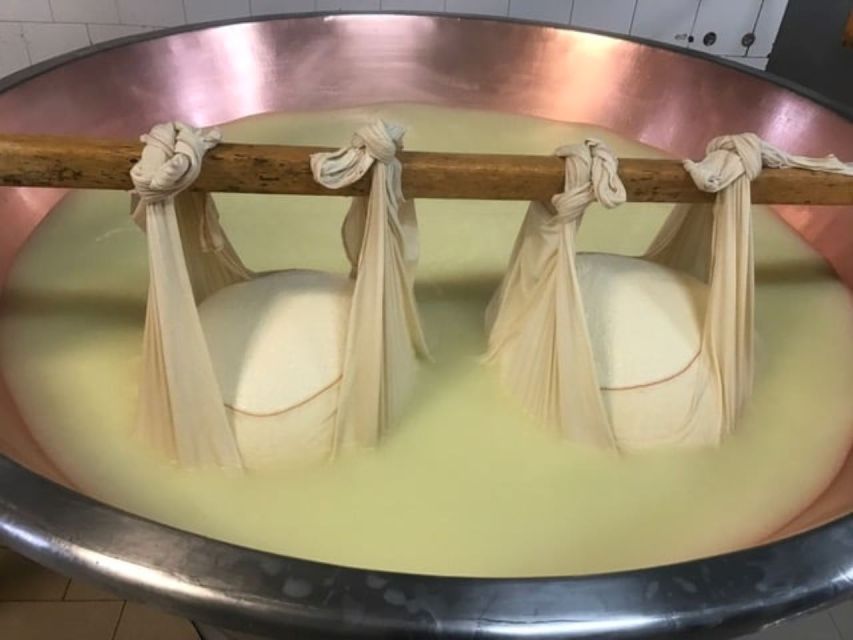 Parma: Parmigiano Production and Parma Ham Tour & Tasting - Who will enjoy this tour most