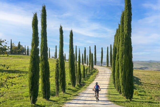 Pisa, Siena and San Gimignano Day Trip with Lunch & Wine Pairing - Walking, timing, and the size of the group