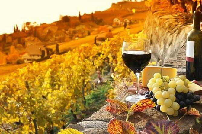 Pisa, Siena and San Gimignano Day Trip with Lunch & Wine Pairing - Who should book this Tuscany day trip?