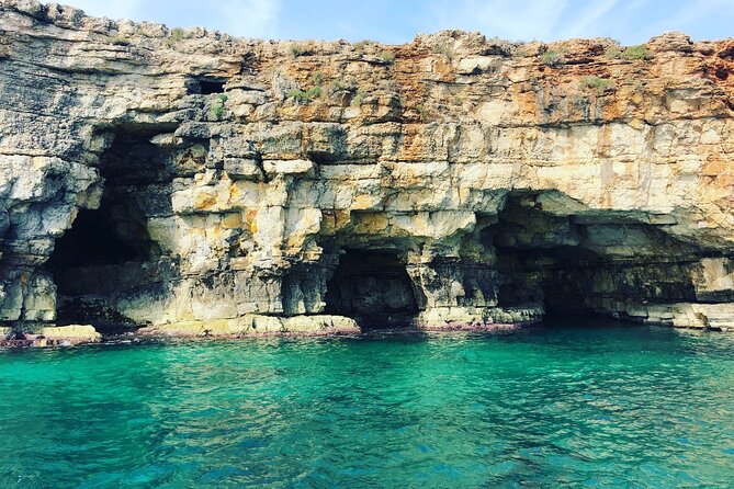 Polignano a Mare boat tour emotions, caves, diving and appetizers - Swimming near the caves