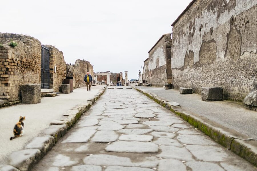 Pompeii: Afternoon to Sunset Guided Tour with Ticket - Understanding the eruption of Vesuvius