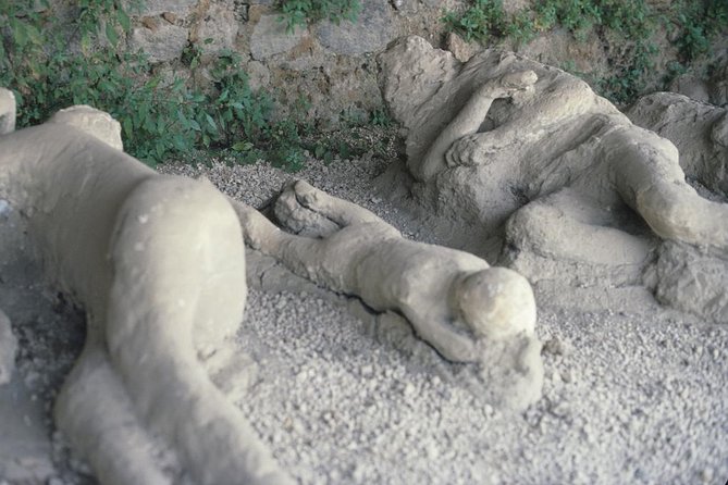 Pompeii and Mount Vesuvius Day Trip from Rome with Pizza Lunch - What the $90.70 price really buys