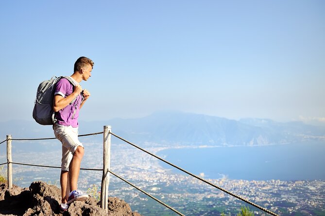 Pompeii and Mount Vesuvius Day Trip from Rome with Pizza Lunch - Meeting at Piazza del Popolo and heading south