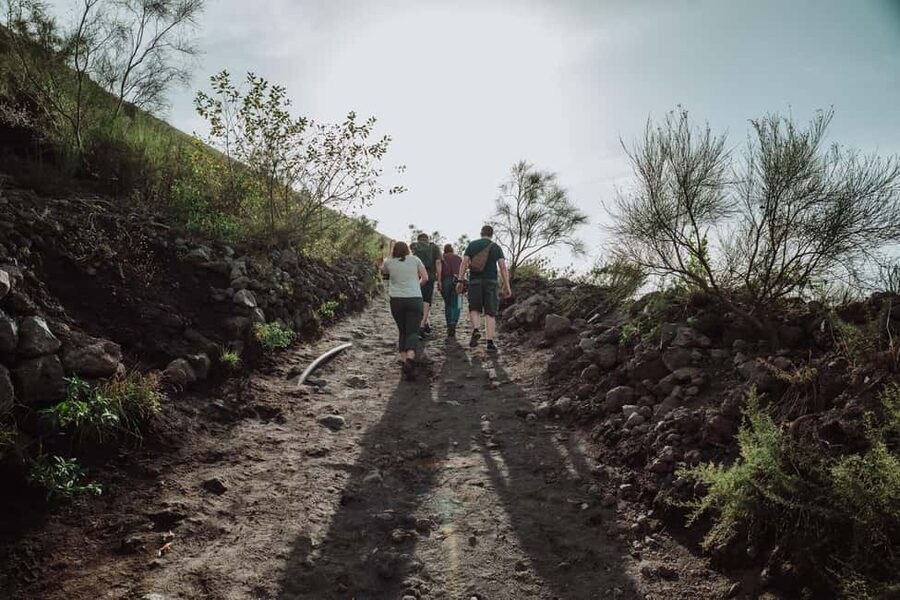 Pompeii and Mount Vesuvius excursion from Naples - Key points to know before booking
