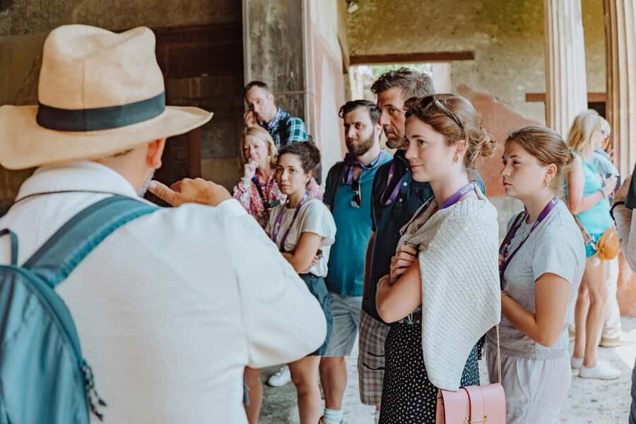 Pompeii and Mount Vesuvius excursion from Naples - Houses, baths, and theaters in the two-hour route