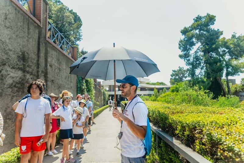 Pompeii: Archaeological Park Tour with Ticket on request - Houses, frescoes, and rooms frozen in time