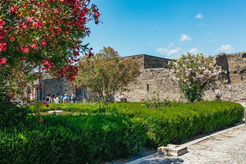 Pompeii: Archaeological Park Tour with Ticket on request - Meeting at the Circumvesuviana station