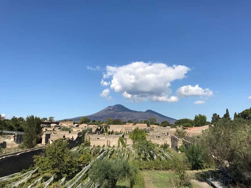 Pompeii: Exclusive Tour with Archaeologist and Entry Tickets - Why a two-hour introduction is useful at Pompeii