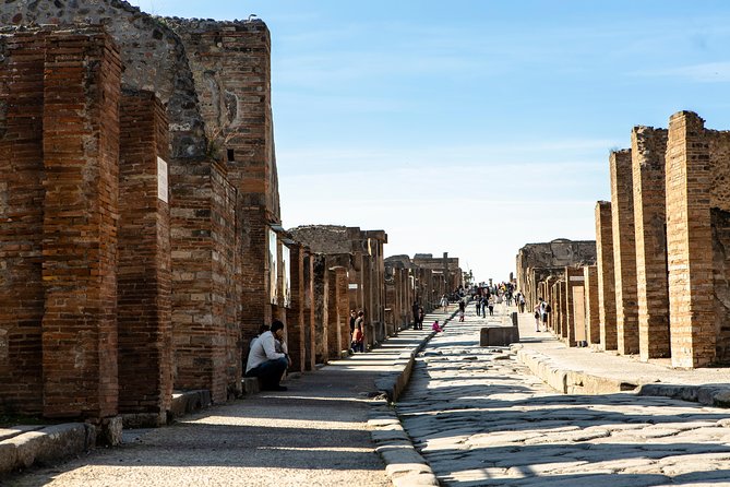 Pompeii & Mt.Vesuvius Day Tour from Naples with Pizza Lunch - Starting from Naples: pickup needs a little planning