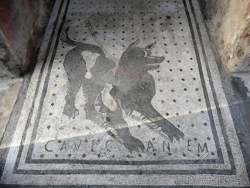 Pompeii: Skip-the-Line Entry & Audioguide - Entering the Ruins With Skip-the-Line Access