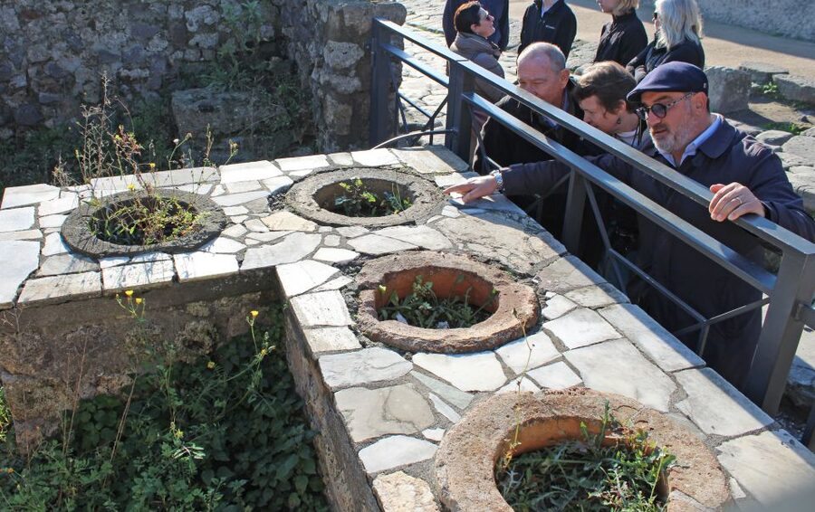 Pompeii: Skip-the-Line Tickets and Tour with Archaeologist - Is $105 good value?