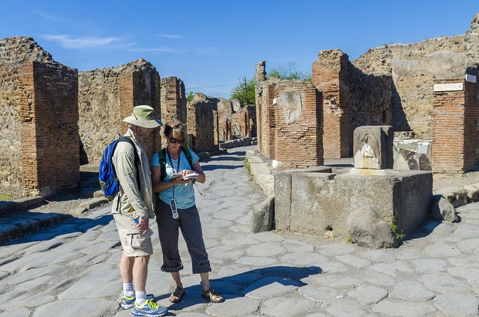 Pompeii: Small Group Tour with an Archaeologist - The Forum, Apollo, and Jupiter