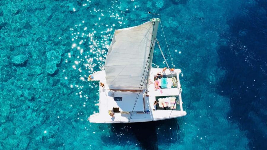 Porto Conte: Half-day catamaran tour with aperitif - Cala Dragunara and the swimming stop