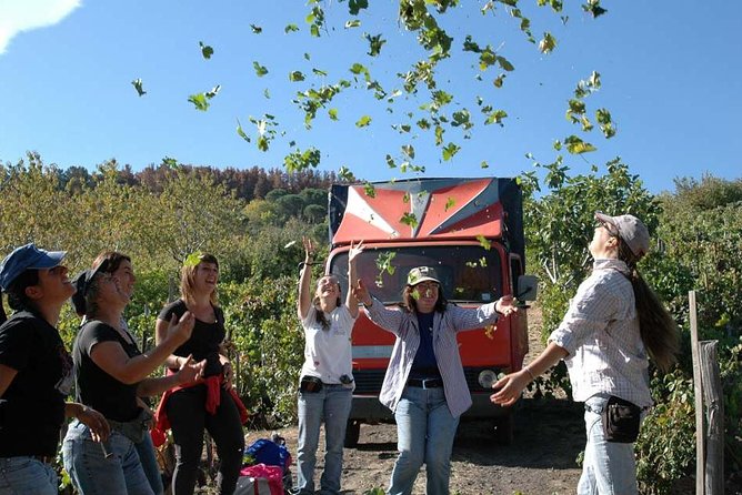 Private 6-Hour Tour of Three Etna Wineries with food&wine tasting - Third stop: family charm and more Etna varieties