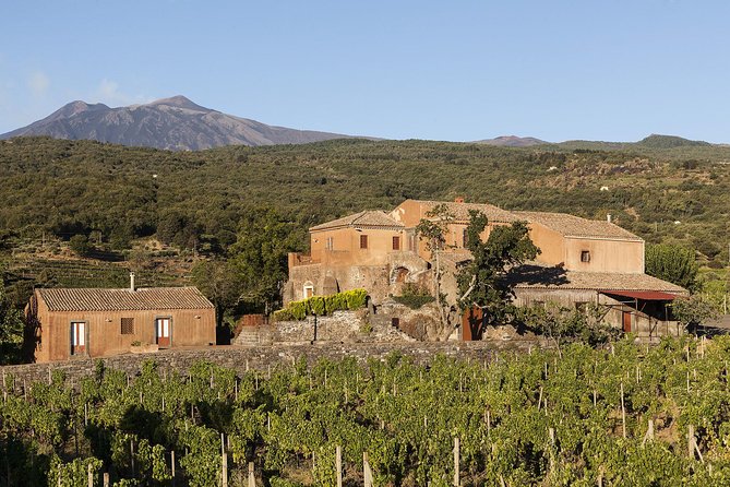 Private 6-Hour Tour of Three Etna Wineries with food&wine tasting - The guides can shape the whole day