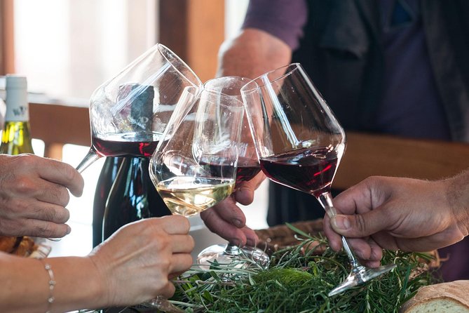 Private 6-Hour Tour of Three Etna Wineries with food&wine tasting - Food, wine, and the value of a private car