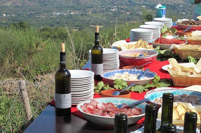 Private 6-Hour Tour of Three Etna Wineries with food&wine tasting - Who will enjoy this tour most