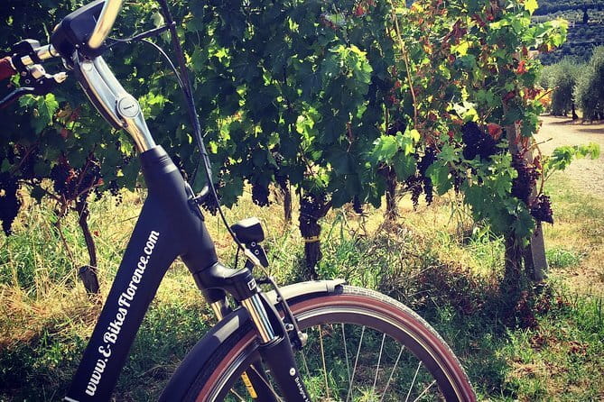 Private Self-Guided E-Bike Ride in Tuscany with Vineyard Visit - Five things to know before you book