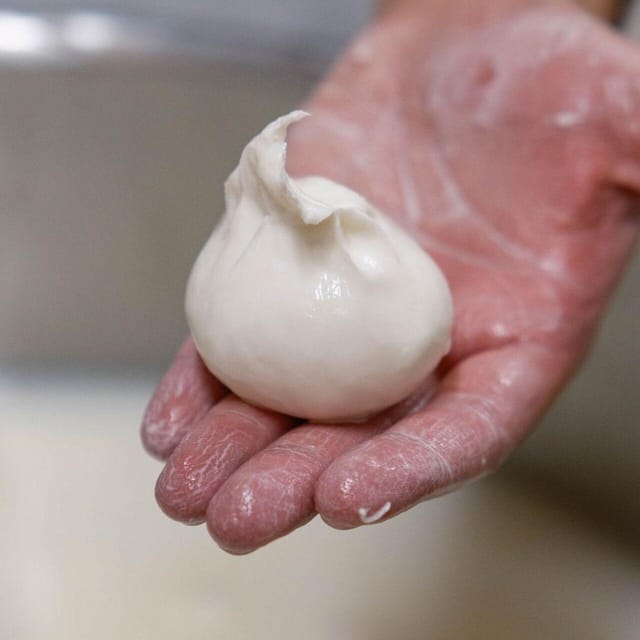 Puglia: Masseria Seppunisi Tour, Cheese, Burrata Tasting - From fresh milk to mozzarella and burrata