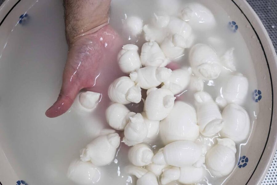 Puglia: Masseria Seppunisi Tour, Cheese, Burrata Tasting - Seeing the aging rooms and the less polished side