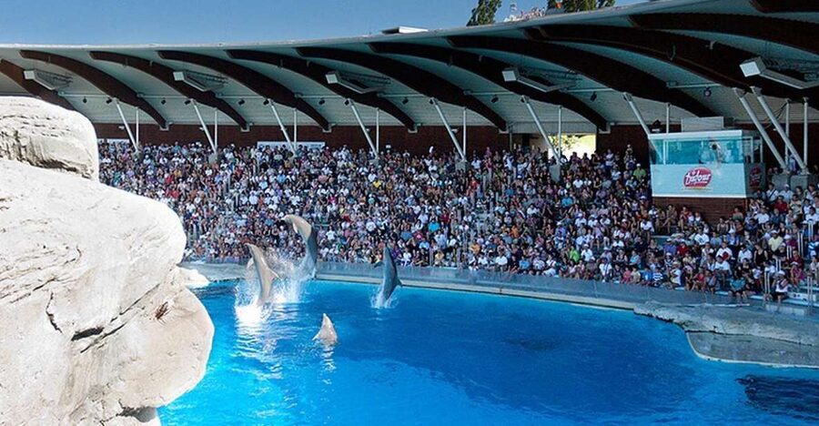 Riccione: Oltremare Park Entrance Ticket - Oltremare in Riccione: an animal park with a larger idea