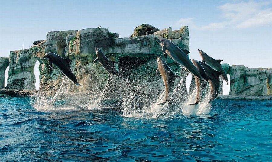 Riccione: Oltremare Park Entrance Ticket - From alligators to parrots: the animal route
