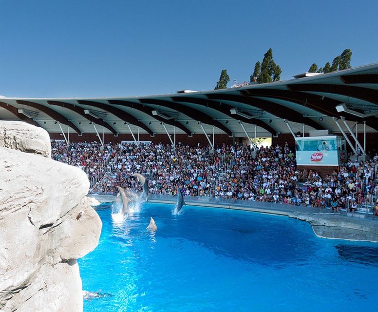 Riccione: Oltremare Park Entrance Ticket - Dolphin Lagoon: the main reason to buy a ticket