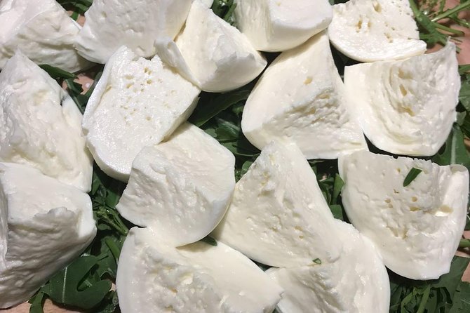 Roman Food Tour with Visit to the Trionfale Food Market - Is $107.63 a fair price?
